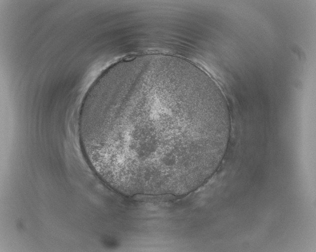 X0000115580241200911241518