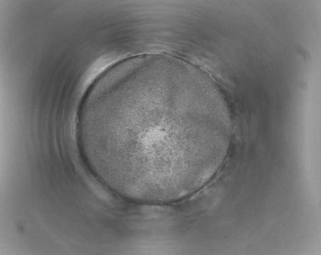 X0000115580242200911241518