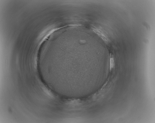 X0000115580243200911241518