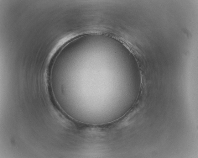 X0000115580244200911241518