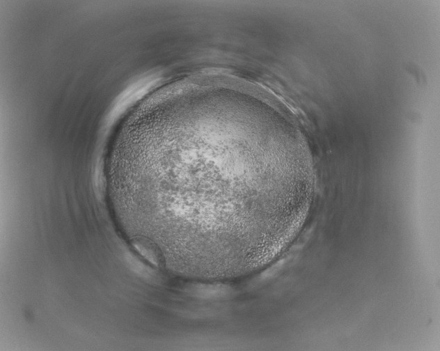 X0000115580245200911241518