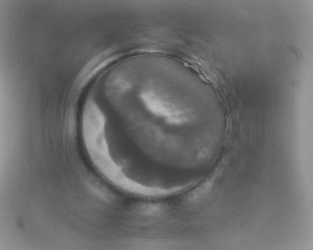 X0000115580247200911241518