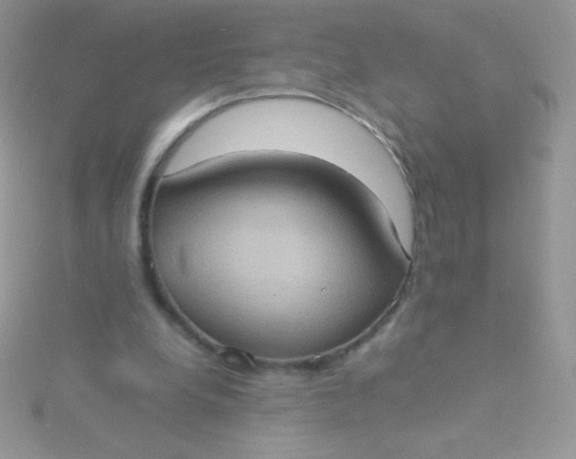 X0000115580248200911241519