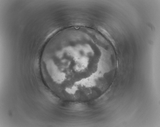 X0000115580249200911241519