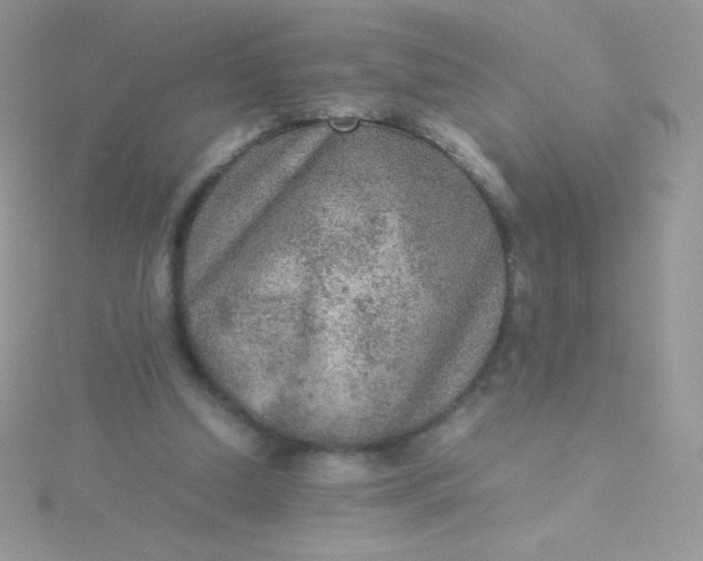 X0000115580250200911241519