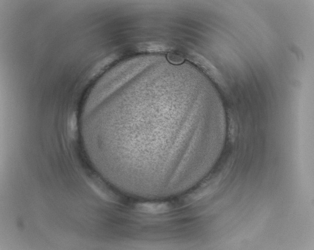 X0000115580251200911241519