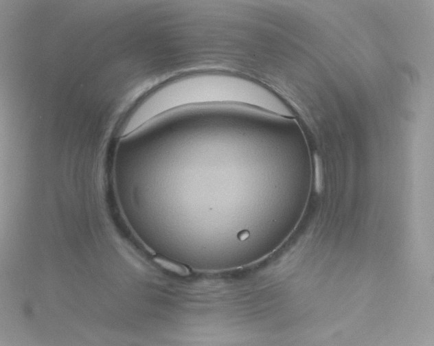 X0000115580252200911241519