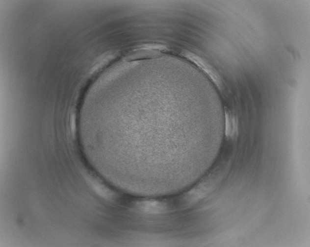 X0000115580253200911241519