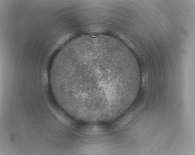 X0000115580254200911241519