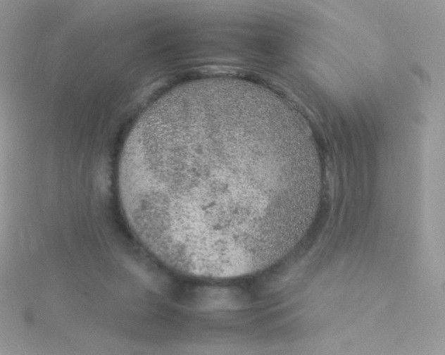 X0000115580255200911241519