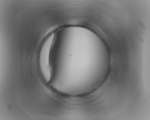 X0000115580256200911241519