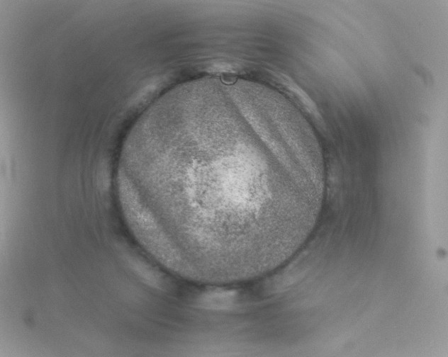 X0000115580257200911241519