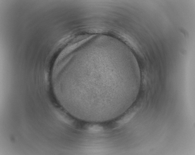 X0000115580258200911241519