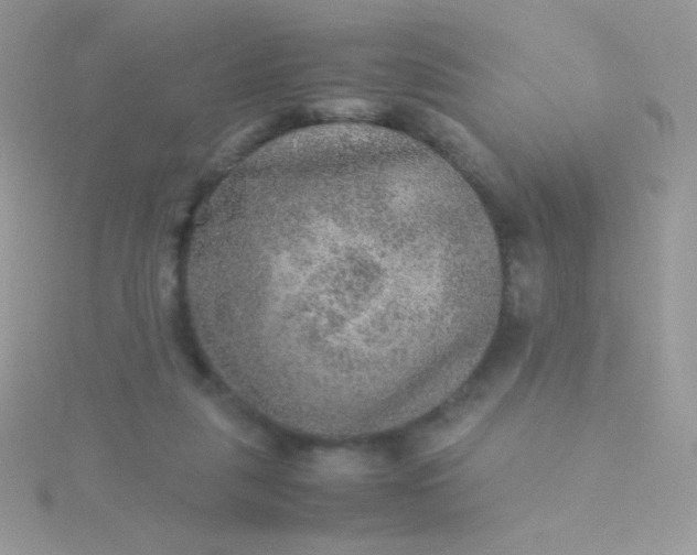 X0000115580259200911241519