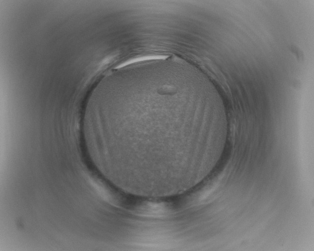 X0000115580260200911241519