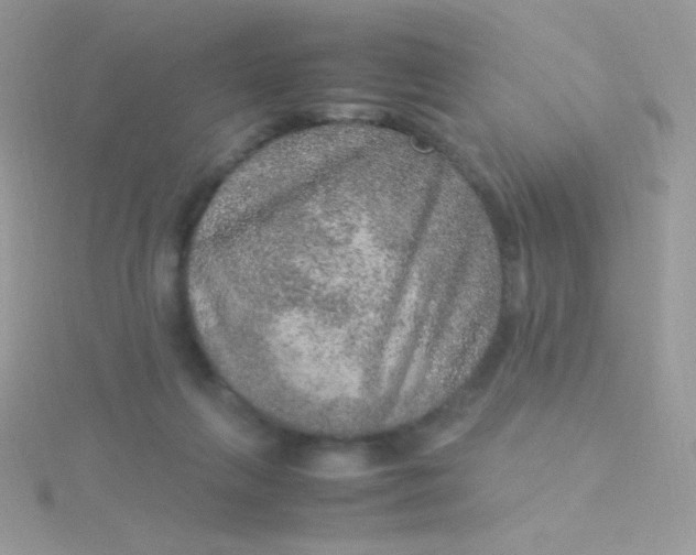 X0000115580263200911241519