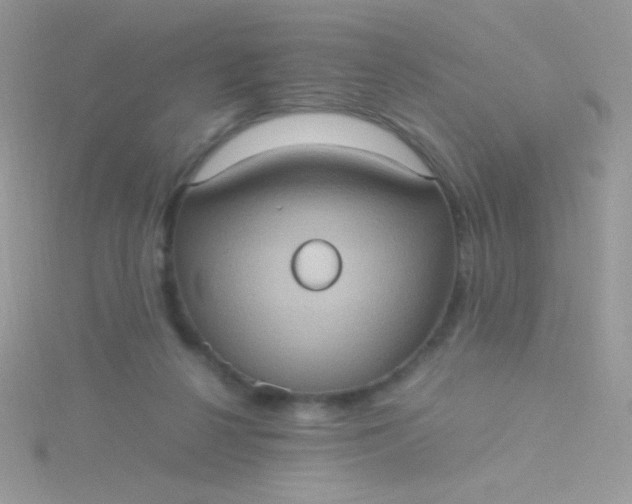 X0000115580264200911241519