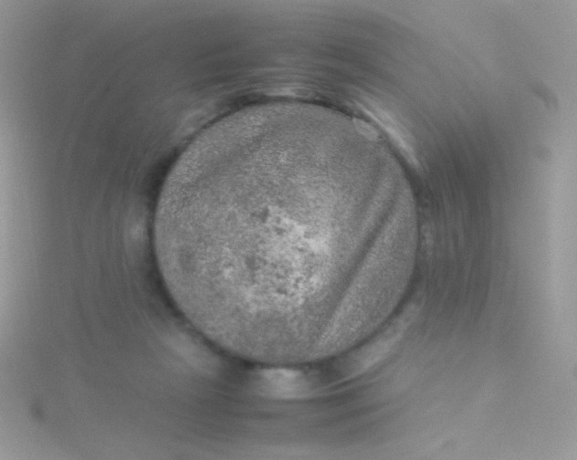 X0000115580265200911241519