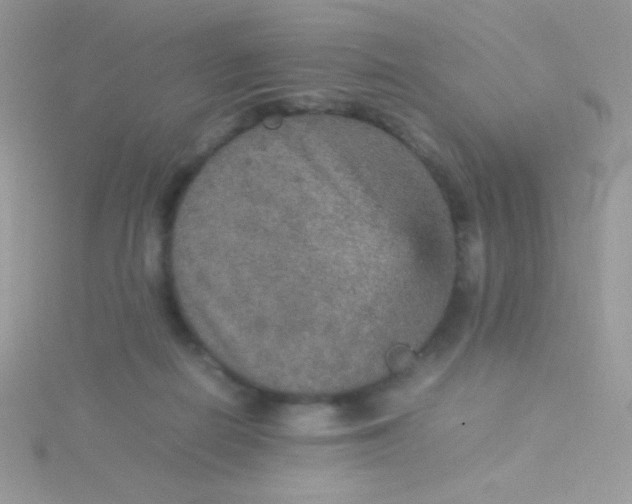 X0000115580266200911241519