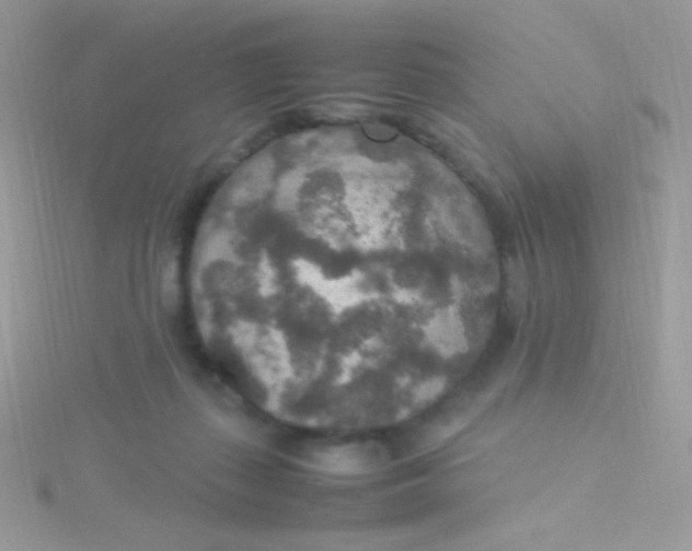 X0000115580267200911241519