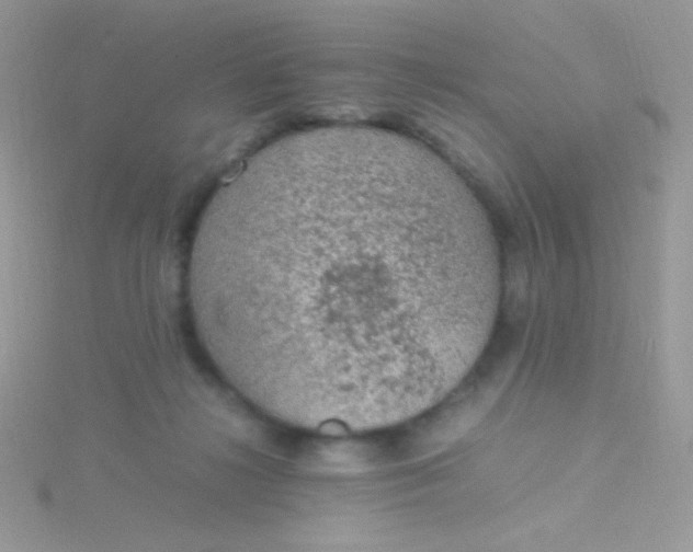 X0000115580268200911241519