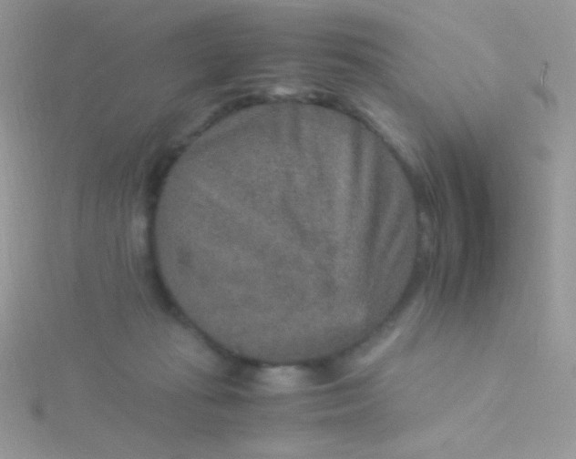 X0000115580269200911241519