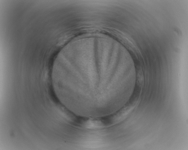 X0000115580270200911241519