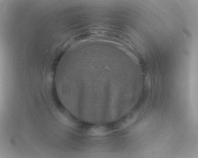 X0000115580271200911241519