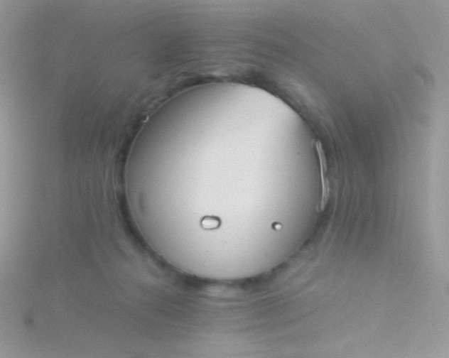 X0000115580272200911241519