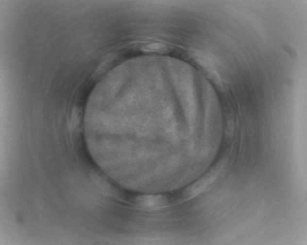 X0000115580273200911241519