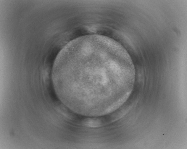 X0000115580275200911241519