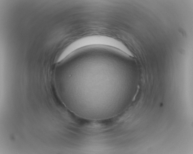 X0000115580276200911241519