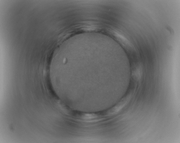 X0000115580277200911241519