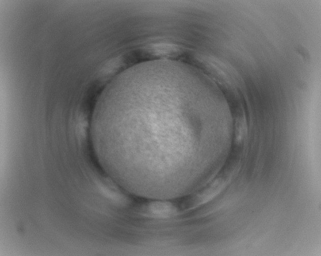 X0000115580279200911241519