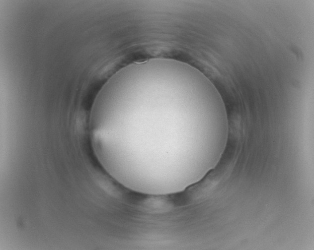 X0000115580280200911241519