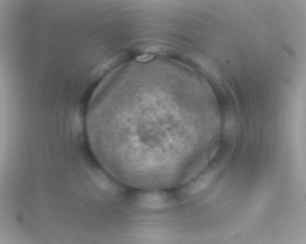 X0000115580282200911241519