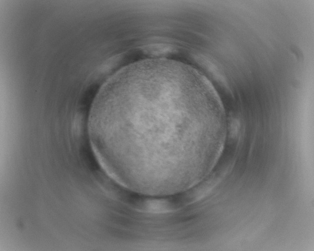 X0000115580283200911241519