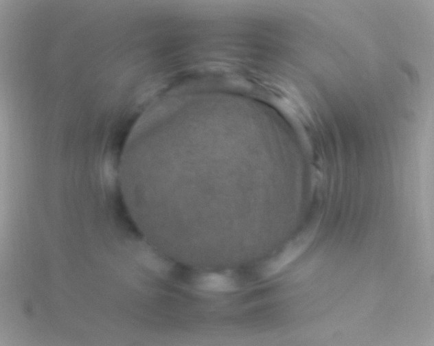 X0000115580285200911241519