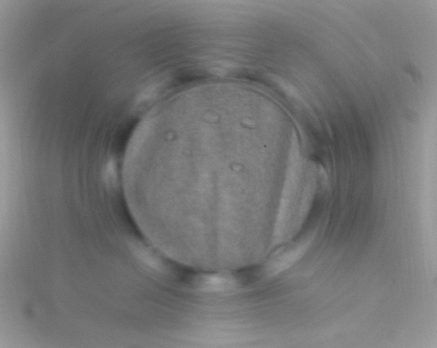 X0000115580286200911241519