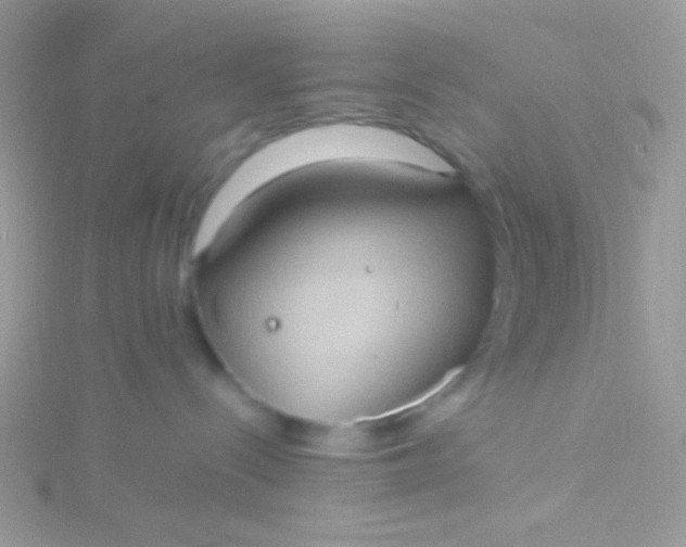 X0000115580288200911241519