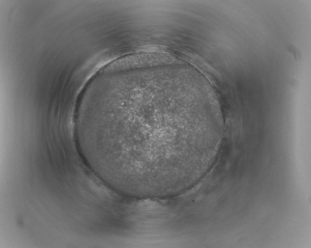 X0000115580290200911241518