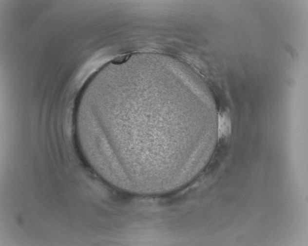 X0000115580291200911241518