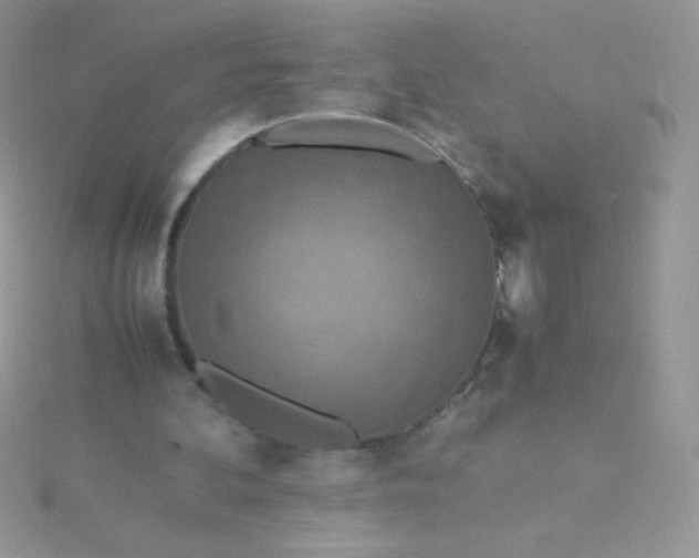 X0000115580292200911241518