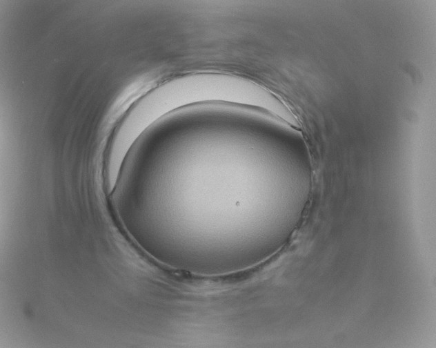 X0000115580293200911241518