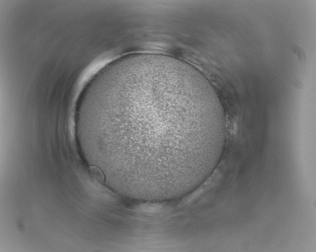 X0000115580294200911241518