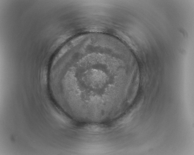 X0000115580299200911241518