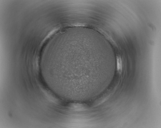 X0000115580300200911241518