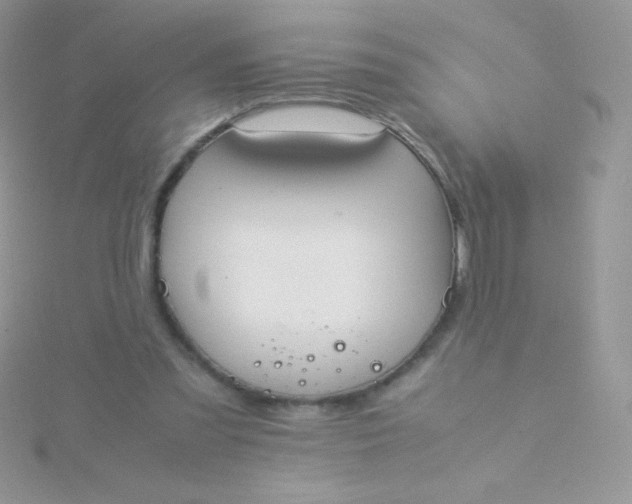 X0000115580301200911241518