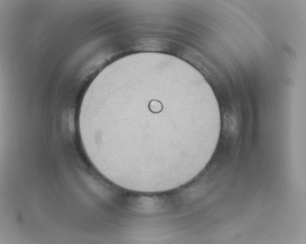 X0000115580302200911241518