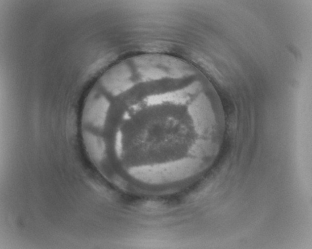 X0000115580303200911241518